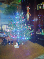 jolka_2024_small.jpg (767.41 КБ) 10546 просмотров jolka_2024_small.jpg