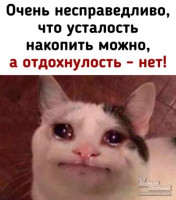 i.jpg