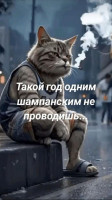 IMG_20241231_141652.jpg